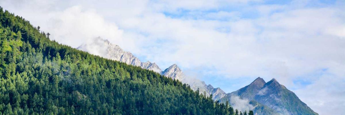 精选在线观看已满十八岁电视剧免费播放下载_在线观看已满十八岁电视剧免费播放下载集